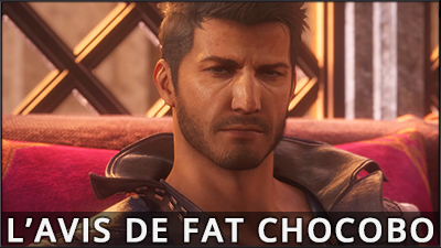 L'avis de Fat Chocobo